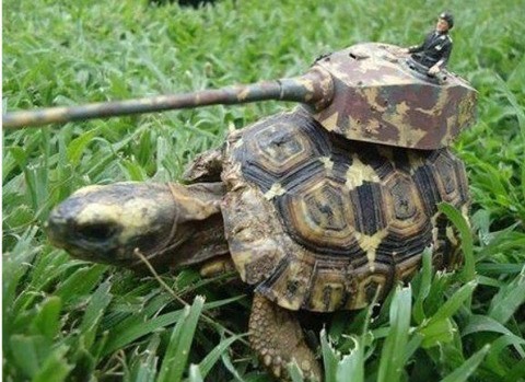 T95 Doom turtle